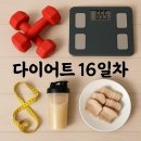 솟다 | 다이어트 16일차 후기 – 근육 폭발! 인바디 결과에 힘이 솟다