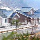 선경농장 이미지