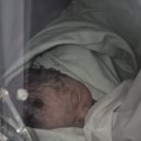 별이와개똥이 이미지