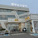 하성조명