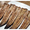 화산장어 이미지