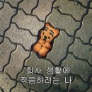 한마세탁실 | #일상 #퇴사이후 #이사일상 #힘들어