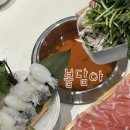 봄해쌀담다 | 미아사거리무한리필 샤브샤브 '봄담아' 하월곡점 솔직후기