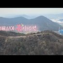 대구 MBC '생방송 시시각각' (대구 와룡산 진달래 군락지) 2022.3.29(수) 이미지