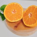 준이네농장 이미지