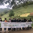 화순공공도서관 이미지