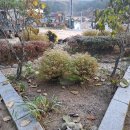 들꽃피는 아침풍경 이미지