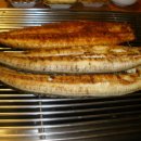 진성장어 이미지