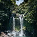 뷰띠끄 헤르츠 호텔 | 제주도 중년 부부 여행을 위한 추천 숙소: 호텔 &amp; 리조트 완벽 가이드