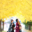 은행나무1길 이미지