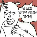 피자비토랩 네이버블로그