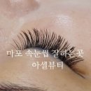 아셀뷰티 - 동구 반야월로 311-13 | 아셀뷰티
