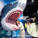 롯데월드아쿠아리움 이미지