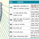 생기나라한의원 이미지