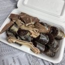 3월, 따스하다가도 차갑곤 해