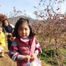 호진농장 이미지