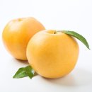 팀터틀랫 기장일광점 이미지