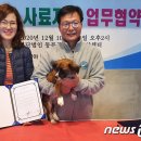 두나펫 코리아 이미지