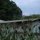 문산 다기능회관 이미지