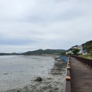 사곡리 데크 네이버블로그