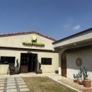 할로하우디(HALO HOWDY) 이미지