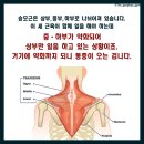 THE 강해짐 이미지