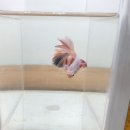 (주)푸른사료 | 2025.10.26 또아쿠아 정모 후기!