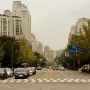 분당-315 이미지