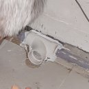 GS25태전중석점 이미지