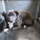 세븐일레븐 [예산공주대점] 이미지