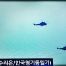 제74주년 국군의 날 기념식 - 낙하 및 비행 이미지