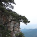 곡성-185 Daum카페