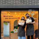 댕댕이꼬양 이미지