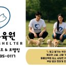 동물보육원 용인지부 이미지