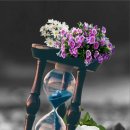 행복나무 이미지