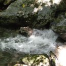 화천LPG충전소 Daum카페