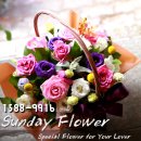 삼성장여관 이미지