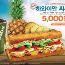 퀴즈노스 이미지