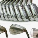 타이거골프클럽 이미지