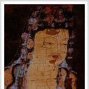 여주-1103 이미지