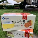 애덕님들 꿀사세요~!꿀이요! 꿀맛같은꿀귤! 정말 자신...닷컴 제주 명품 믿사봉 해품은 꿀귤 특상급...
