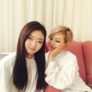 마샬 헤어모델