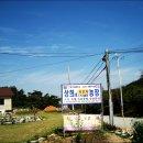 문규농장 Daum카페