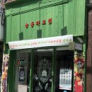 능동타코집