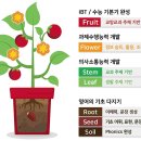 중화초등학교 이미지