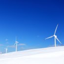 삼양농장 이미지