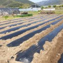 깨골농장 이미지