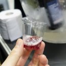 바이오스피릿(주) | 2025 서울와인주류박람회 서주박 주말 관람 후기