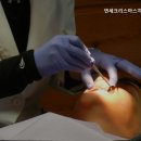 연세크리스마스치과의원 이미지