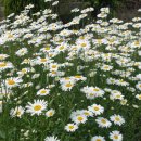 하소체육공원 이미지